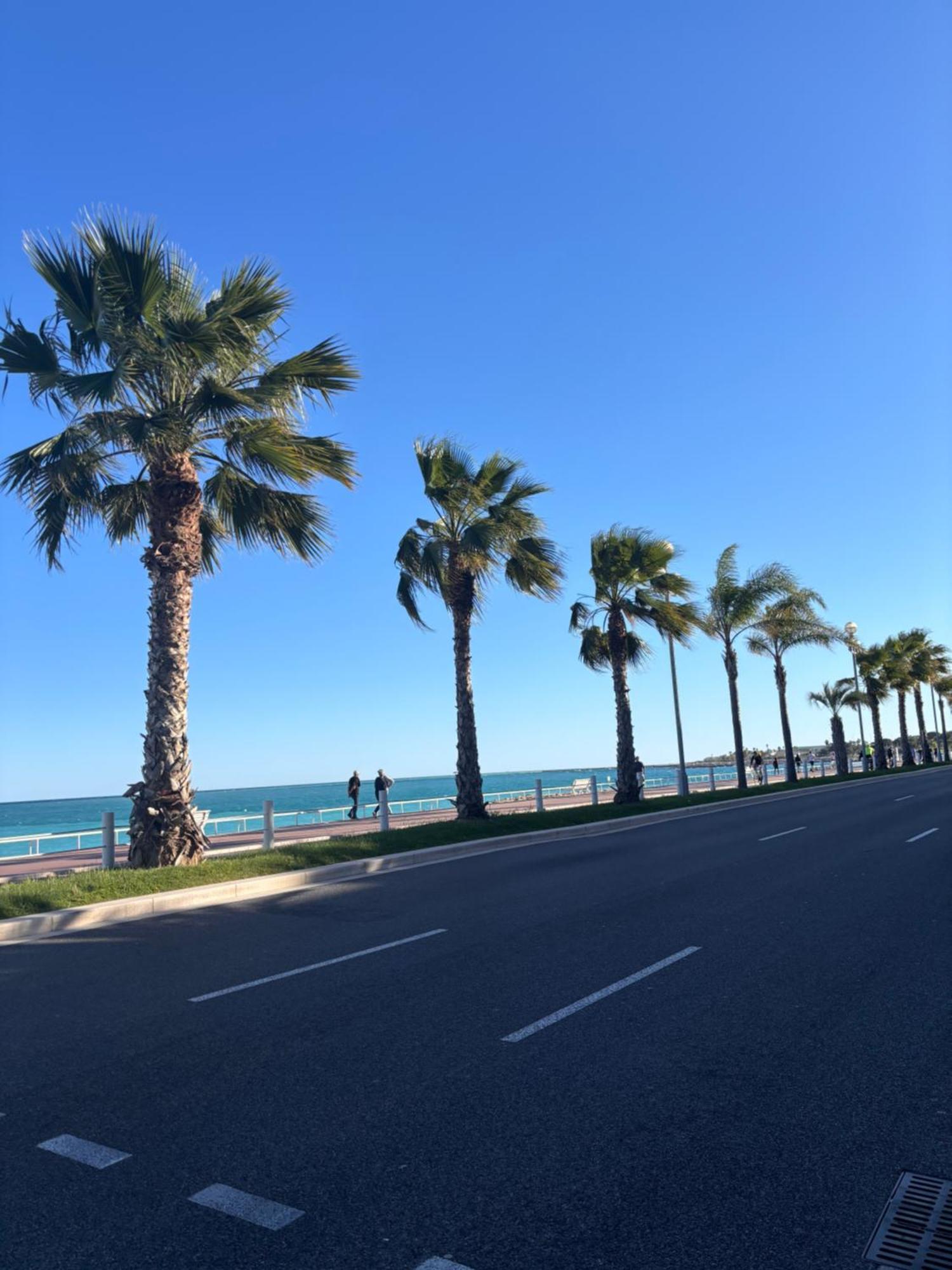 ניס Grand Studio De 30 M2 Promenade Des Anglais מראה חיצוני תמונה